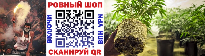 Наркошоп Великие Луки COCAIN Канабис МЕФ ГАШИШ