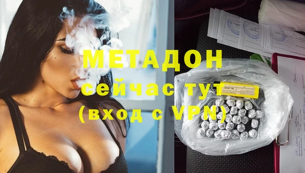 сатива Белокуриха